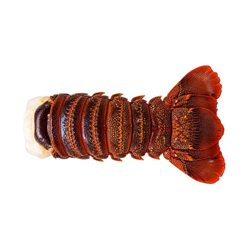 Cooked lobster tail with exposed white meat at the left, showcasing segmented reddish-brown shell and fleshy tail fins on the right